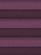 Intense Colors 43.723 Intense Colors 43.723