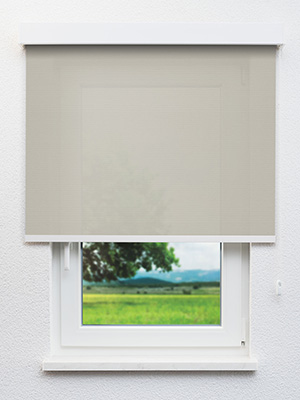 Clingen 31.040e Fensteransicht