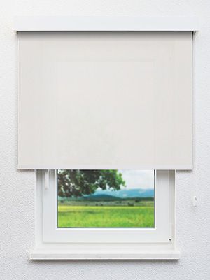 Clingen 12.040e Fensteransicht