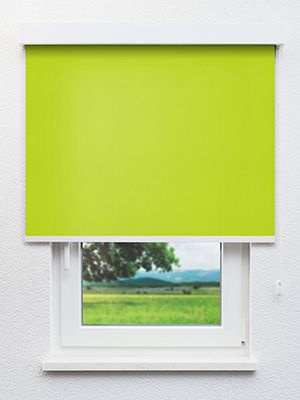 Falkenberg 98,850e Fensteransicht