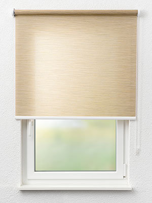 Coswig 00.860e Fensteransicht