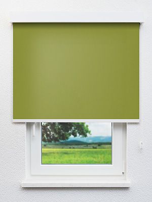Dahme 98.241e Fensteransicht
