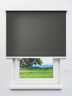 Dahn 30.151e Fensteransicht