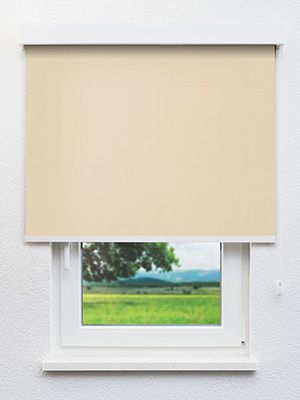 Dahn 81.151e Fensteransicht