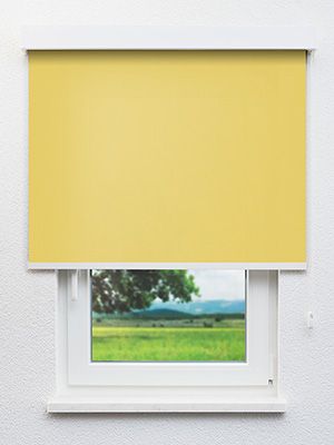 Dahn 32.151e Fensteransicht