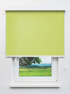 Dahn 09.151e Fensteransicht