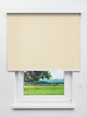 Dannenberg 91.451e Fensteransicht