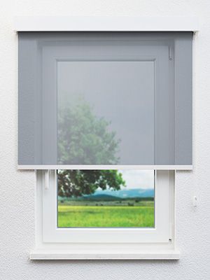 Dassel 10.161e Fensteransicht