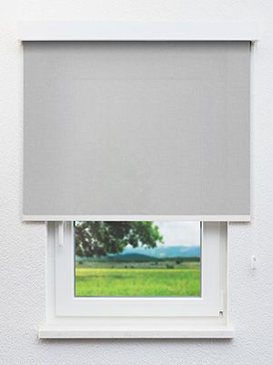 Böhlen 10.861e Fensteransicht