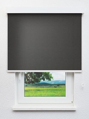 Böhlen 40.861e Fensteransicht