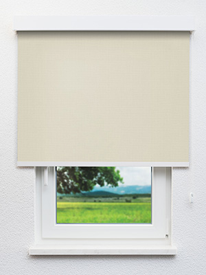 Braubach 91.603e Fensteransicht