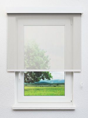 Dillingen 12.023e Fensteransicht