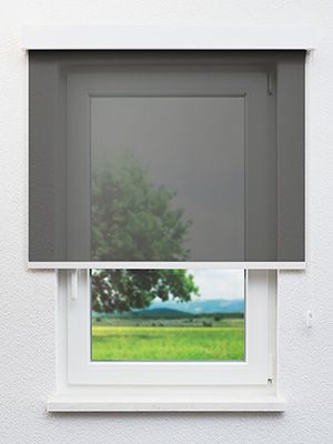 Braunlage 40.133e Fensteransicht