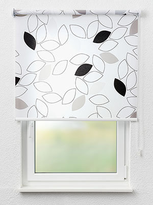 Dinklage 11.833e Fensteransicht