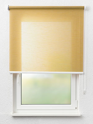 Dornhan 20.363e Fensteransicht
