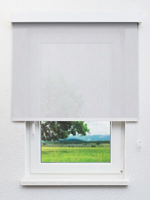 Dulmen 10.814e Fensteransicht