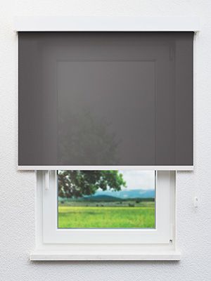 Dulmen 30.814e Fensteransicht