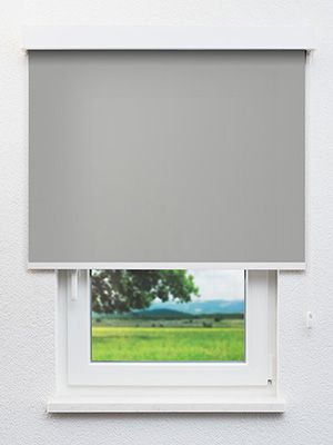 Brasseur 10.064e Fensteransicht