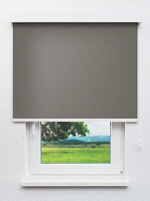 Brasseur 30.064e Fensteransicht