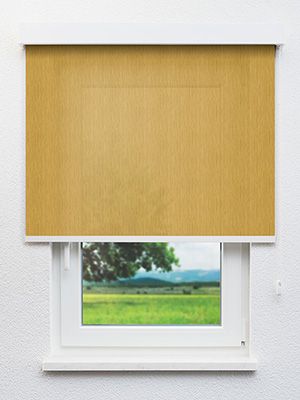 Feuchtwangen 01.885e Fensteransicht