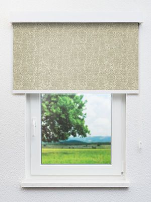 Preview Forêt 81.795e 2