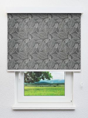 Frankenthal 30.006e Fensteransicht