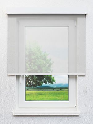 Friedberg 12.416e Fensteransicht