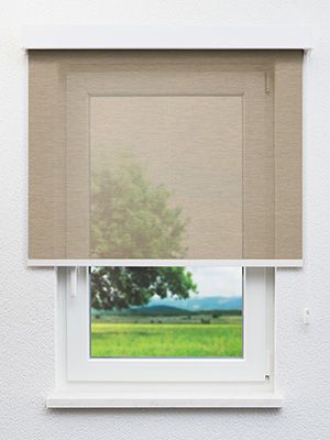 Bühl 00.407e Fensteransicht