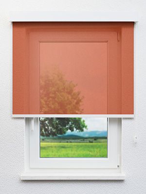 Altentreptow 82.127e Fensteransicht