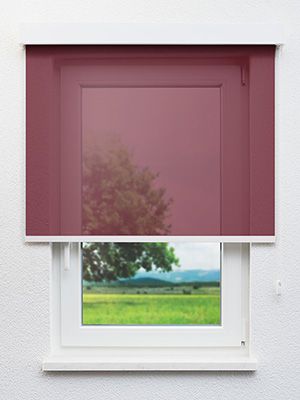 Altentreptow 23.127e Fensteransicht
