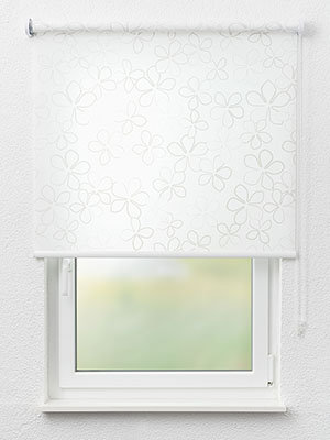 Aschersleben 00.057e Fensteransicht
