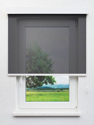 Balingen 40 558e Fensteransicht
