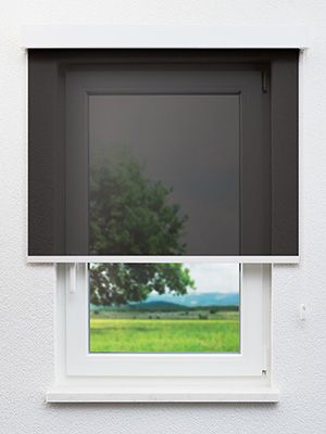 Egeln 30.009e Fensteransicht