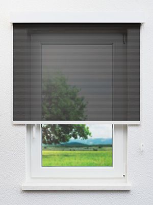 Eggesin 30.109e Fensteransicht